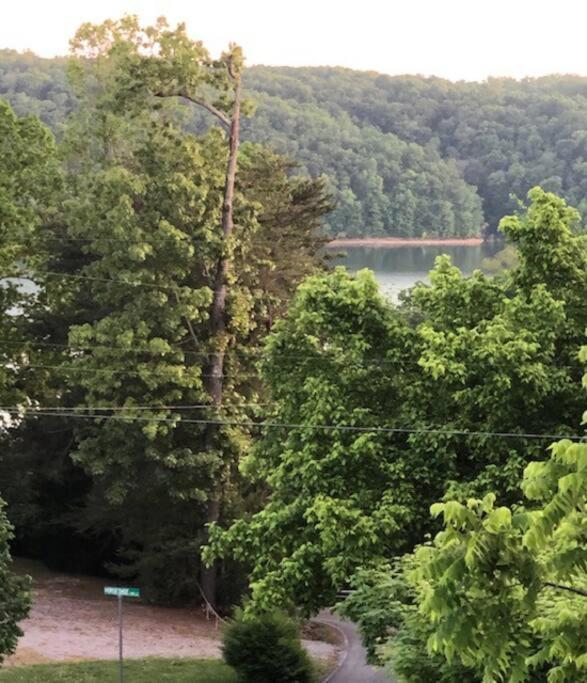 Driftwood Cottage With Hot Tub On Lake Cumberland Russell Springs Extérieur photo