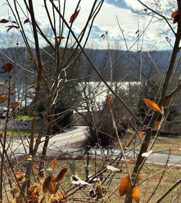 Driftwood Cottage With Hot Tub On Lake Cumberland Russell Springs Extérieur photo